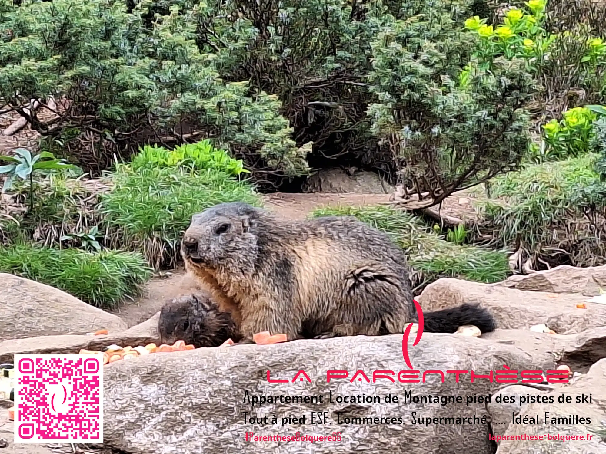 Appartement familial pour vos vacances au ski dans les Pyrénées